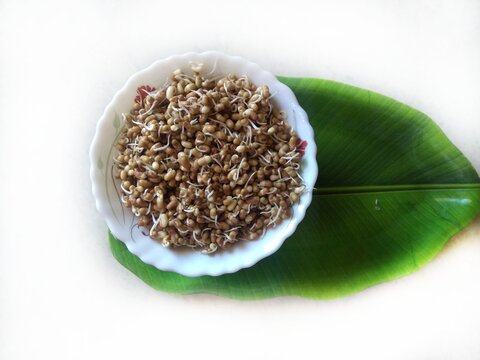 Heap of fresh Sprouted moth beans or math beans in white background