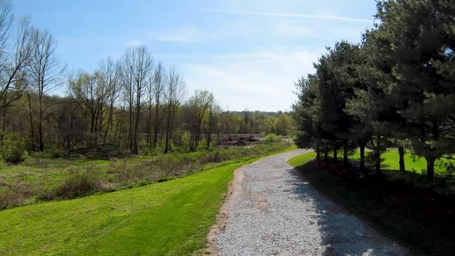 path in the forest along the trees aerial fpv