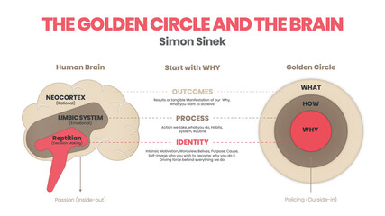 The Golden Circle and brain illustration of Simon Sinek are 3 elements starting with a Why question. Diagram vector presentation inform the origin of human performance or behavior of user target goal - obrazy, fototapety, plakaty