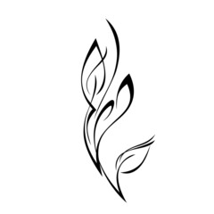 ornament 2078. stylized twig with leaves in black lines on a white background