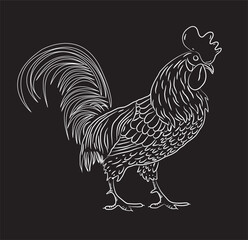 Fototapeta na wymiar black and white rooster