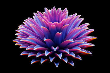 3d close-up illustration of delicate pink-purple  peony or chrysanthemum flower blooming on black isolated background