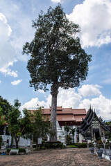 Within Wat Chedi Luang is temple of the big stupa or temple of the royal stupa that is a Buddhist temple in the historic center in Chiang Mai province of Thailand.