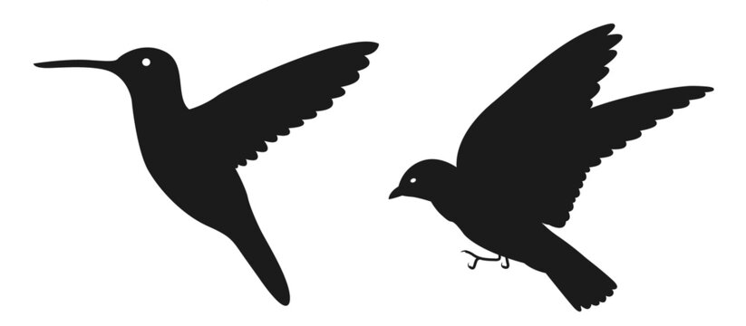 Vector set of birds silhouette. Sitting and flying birds
