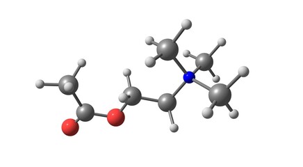 Acetylcholine molecular structure isolated on white