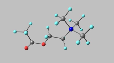 Acetylcholine molecular structure isolated on grey