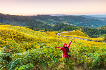 Obraz na płótnie Canvas Young woman travel in the mountain, Mexican sunflower, Beautiful flower on Doi-mae-u-kor, Maehongson province, Thailand.