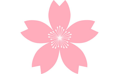 桜の花、ピンクの花びらと白い雄しべ