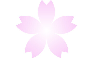 桜の花、ピンクのグラデーションのかかった花びら