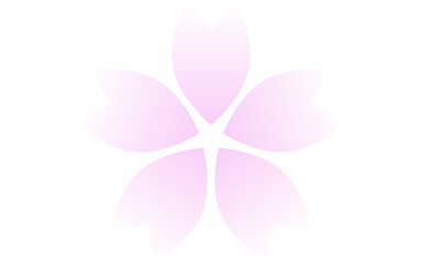 桜の花、ピンクのグラデーションのかかった花びら