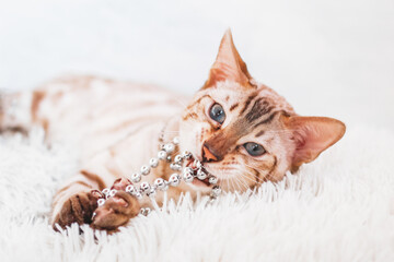 Young beautiful Bengal cat is playing with silver beads on white soft fluffy plaid.