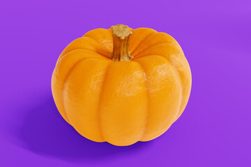 Single Fresh Orange Pumpkin. 3d Rendering