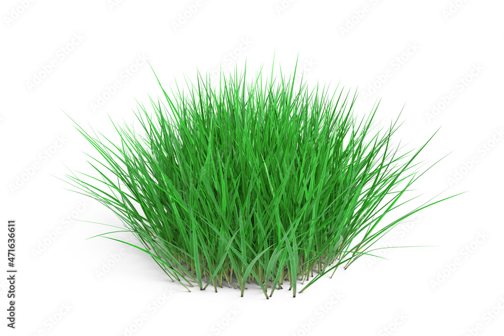 Poster round patch of fresh green grass. 3d rendering
