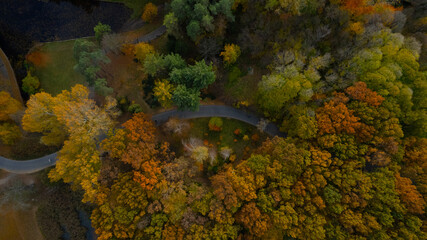 Autumn park top aerial view. Landscape with bright colored trees and people on pathways