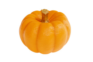 Single Fresh Orange Pumpkin. 3d Rendering