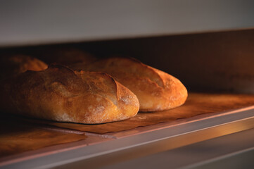 Close-up Batch of fresh buns of artisan bread baked in an oven in cooking and eating concept