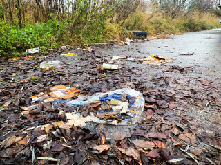 garbage in the park