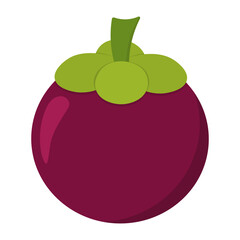 Mangosteen Icon clipart vector animation illustration design