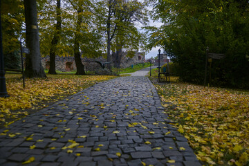 stone path in the autumn park
