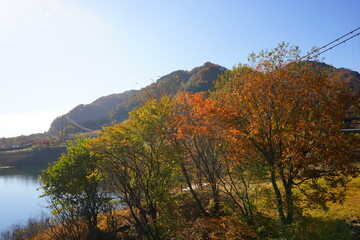 栃木県 森林の駅 もみじ谷大吊橋
