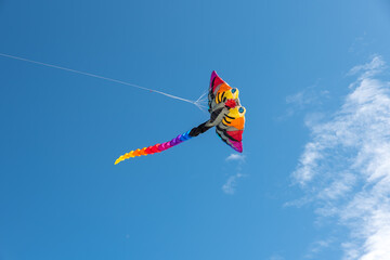 Colorful Kites flying over the sky
