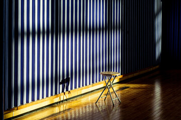 빛이 들어오는 빈 체육관에서의 빈 자리