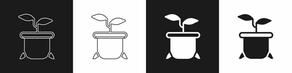 Set Plant in pot icon isolated on black and white background. Plant growing in a pot. Potted plant sign. Vector