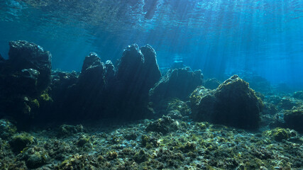 Underwater fairy tale landscape in rays of light