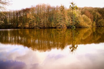 Reflets d'automne