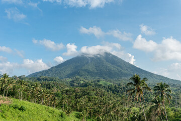 Trip around Sulawesi and the Tongkoko National Palk, Mount and jungle