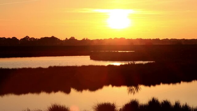 sunset at the nature reserve lake for birds
