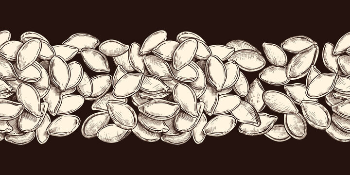 
Hand-drawn pumpkin seeds border seamless pattern. Vector vintage design on a dark brown background.