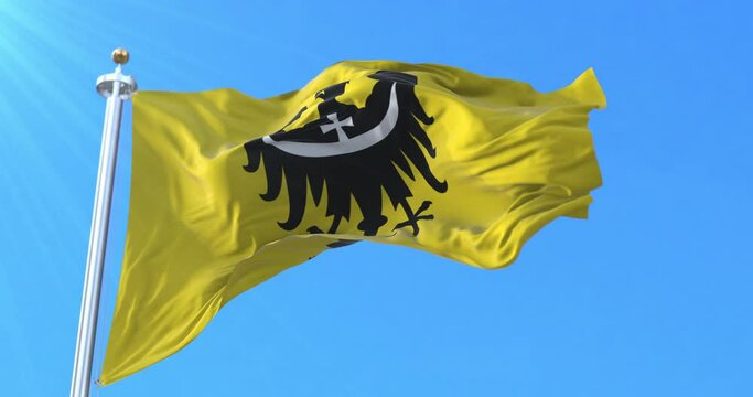 Lower Silesian Voivodeship Flag, Poland. Loop