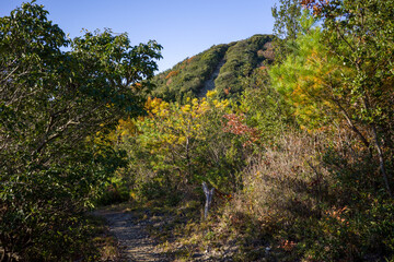 日本の兵庫県赤穂市の雄鷹台山の美しい秋の風景