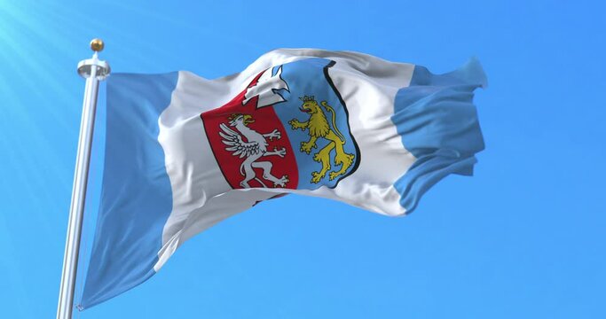 Flag of Subcarpathian Voivodeship, Poland. Loop