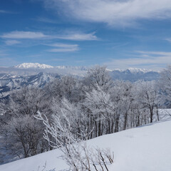 湯沢町の雪山景色と樹氷