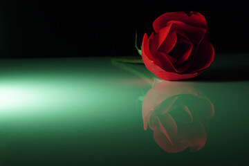 Beleuchtete Rose auf einer Glasplatte.