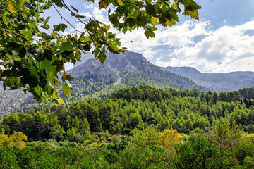 Landscape of the Serra de Tramuntana, Biniaraix - Mallorca (Balearic Islands)