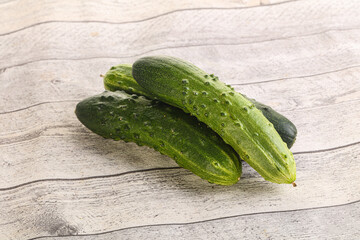 Fersh juicy green cucumbers heap