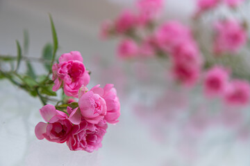 Pink roses bouquet with free space for text