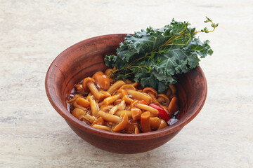 Wild pickled honey mushroom in the bowl