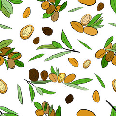 Stamless pattern of argan leaves, nuts, oil. Sketch of branch argania  with fruits. Hand-drawn illustration. Organic essential oil sketch.