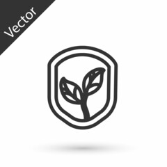 Grey line Shield with leaf icon isolated on white background. Eco-friendly security shield with leaf. Vector