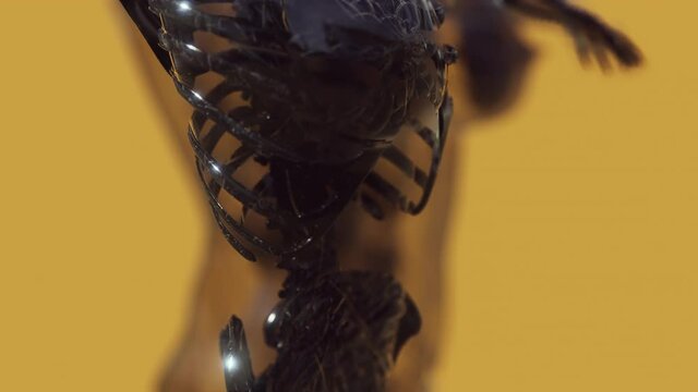 glow skeletal bones of human