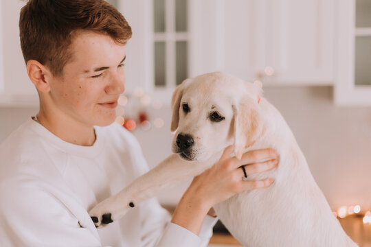 teenage boy in a white sweater hugs his beloved dog in a beautifully decorated kitchen for Christmas. taking care of a pet. family holidays and weekends. space for text. High quality photo