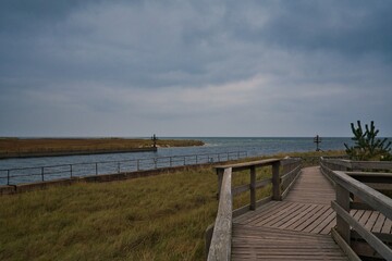 Fischland Dass Natur
Outdoor