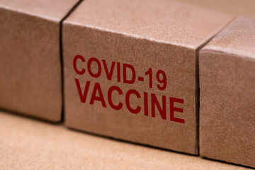 Covid-19 Vaccine Box. Coronavirus Vaccination Pack