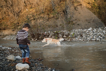 Spend childhood in nature with dog. Little Caucasian boy in striped sweater stands next to mountain river and watches as mongrel dog crosses water and wets its paws .
