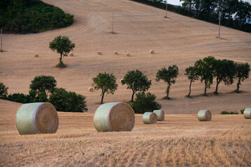 Rural landscape with hay bales in farm fields in countryside
