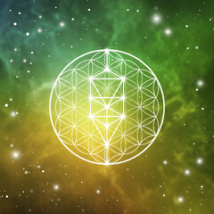 Sacred geometry tree of life ancient symbol vector illustration with golden ratio numbers, flower of life interlocking circles and particles in front of outer space background. 